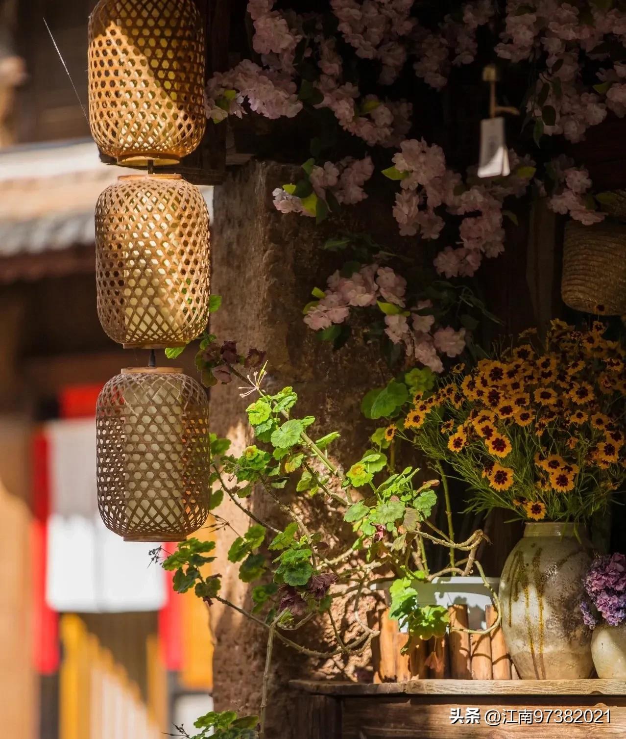 去大理旅居一个月怎么安排,看了去有风的地方后的感想