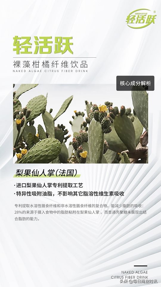 轻活跃燃脂饮,裸藻饮品