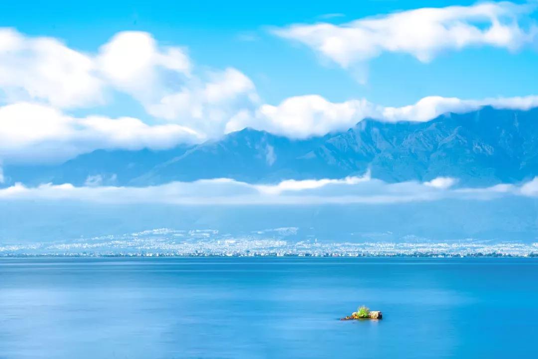 新楚大高速全线通车,新楚大高速最新消息