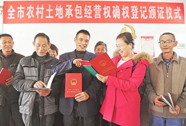 农村土地确权了山林没确权怎么办,农村土地确权后没有耕种会怎样