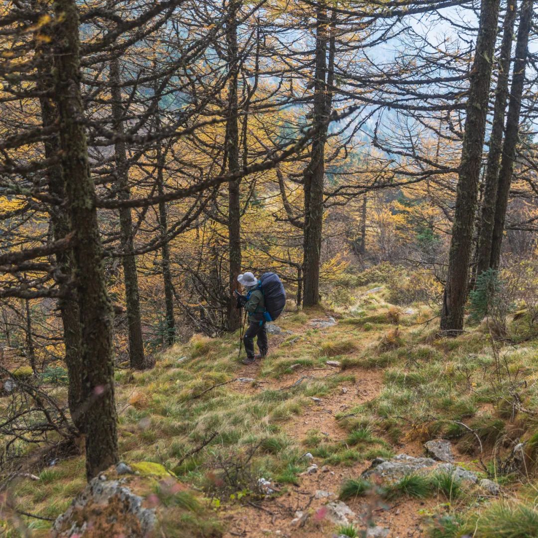 登太白山感受,太白山景区登顶拔仙台