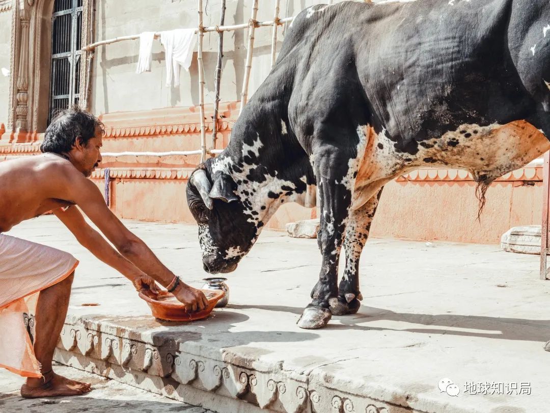 印度的宗教迷信有多严重,印度的迷惑行为