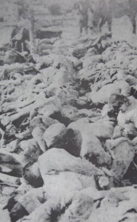 鏃ユ湰渚靛崕鏆磋鐪熷疄褰卞儚,鏃ユ湰渚靛崕鏆磋鍦板浘