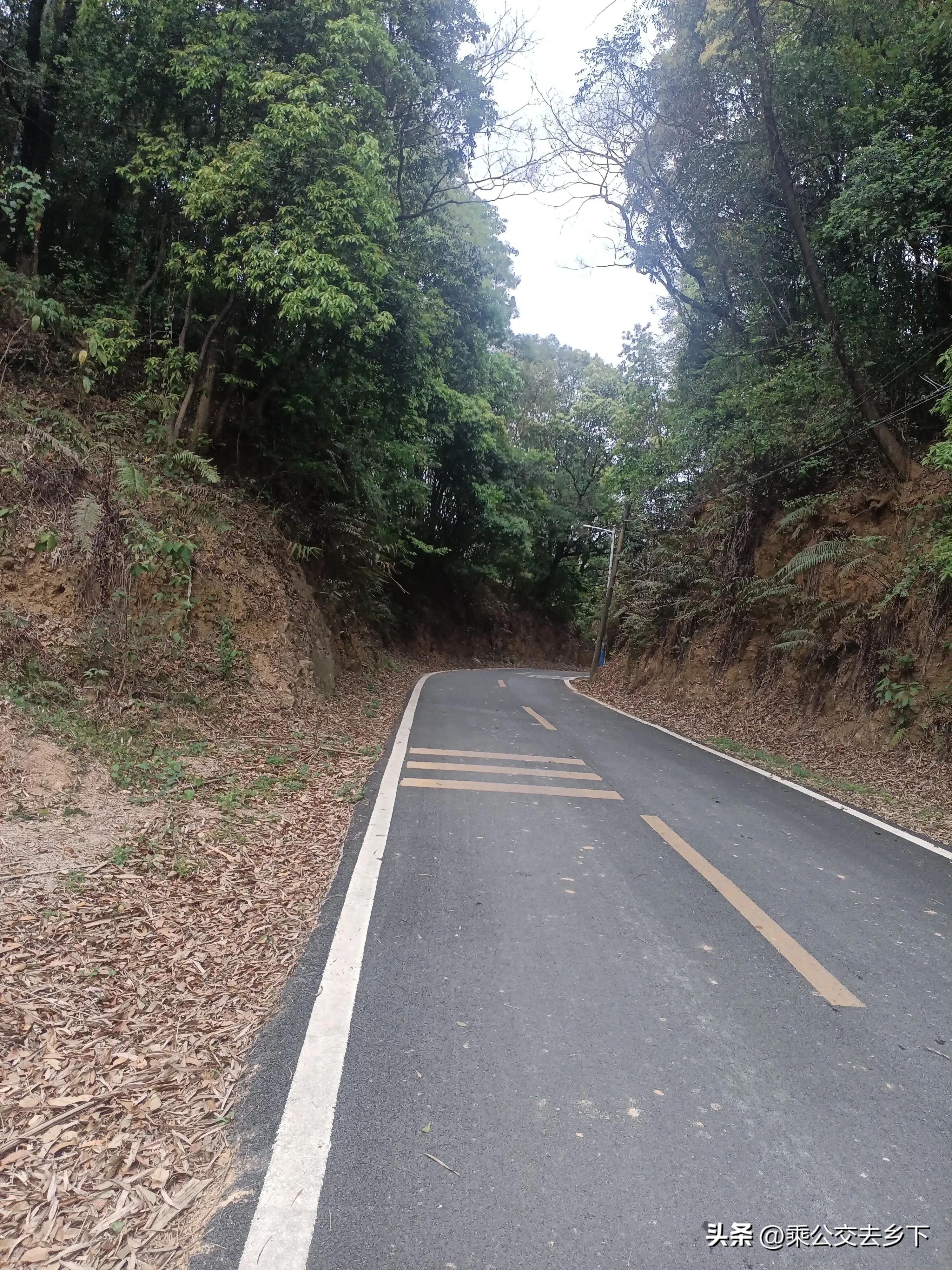 穗丰村-一所学校带来的繁荣