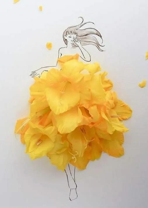 花仙子植物开花,花仙子开满鲜花