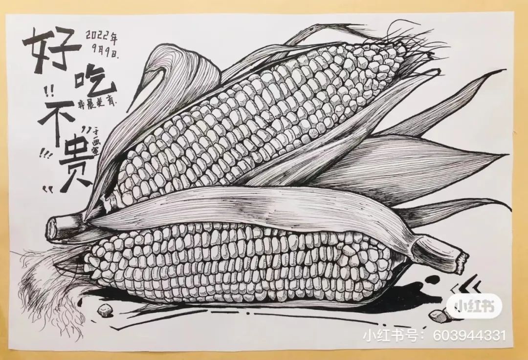 针管笔画线条练习,针管笔黑白装饰画线描