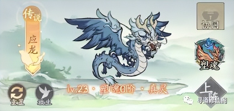 寻道大千灵宠怎么选技能,寻道大千灵宠怎么上课