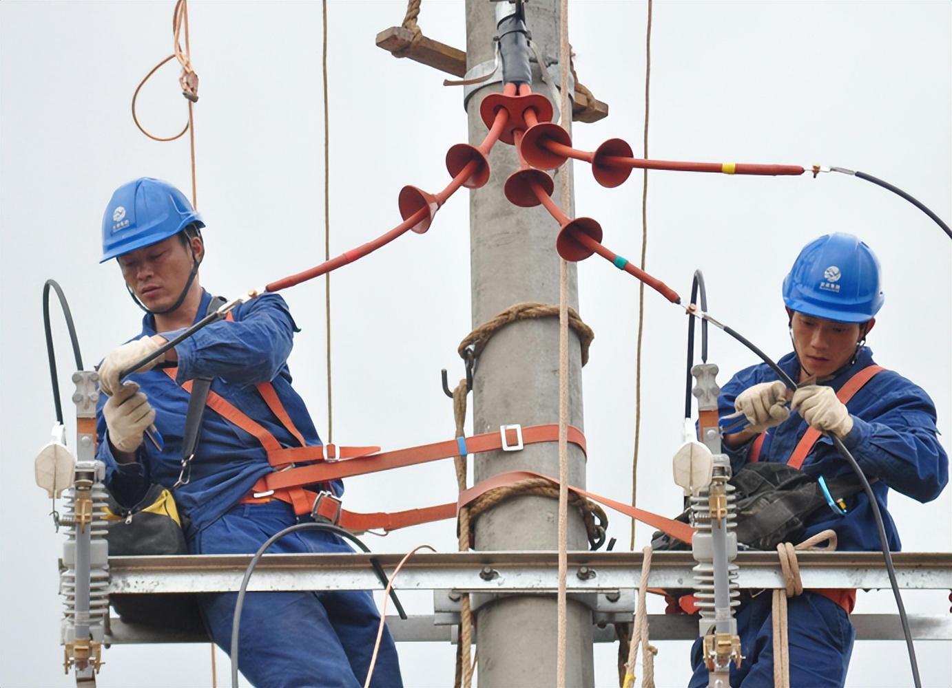 热门专业但要谨慎报考的三个专业,适合报考的六大新兴专业