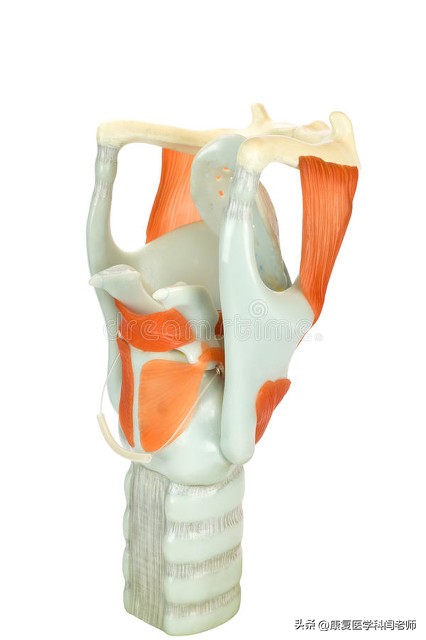 偏瘫言语康复训练,脑中风的语言康复训练方法