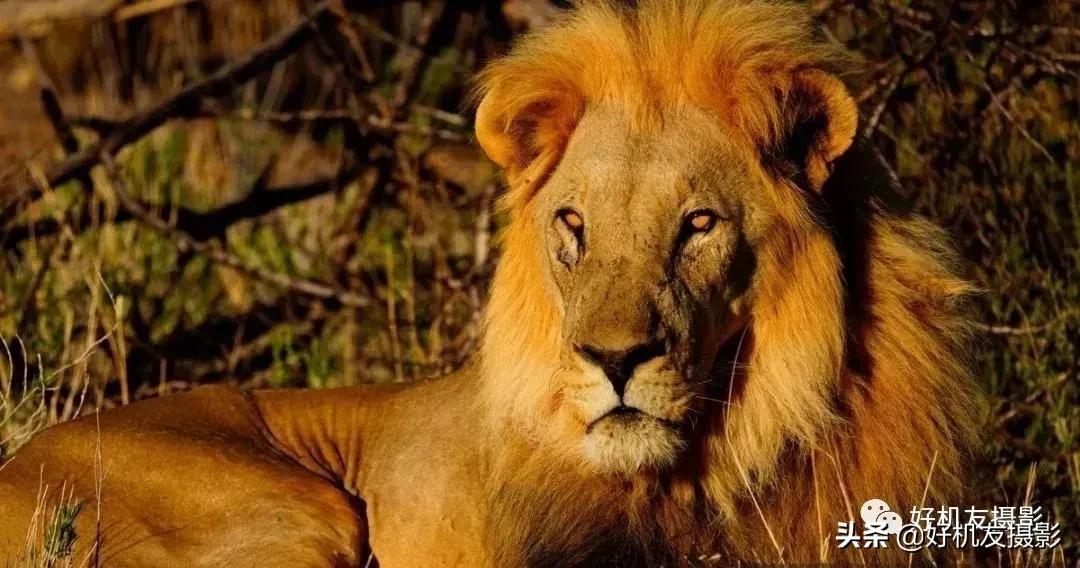 索尼相机mrs怎么选,索尼相机r和m区别