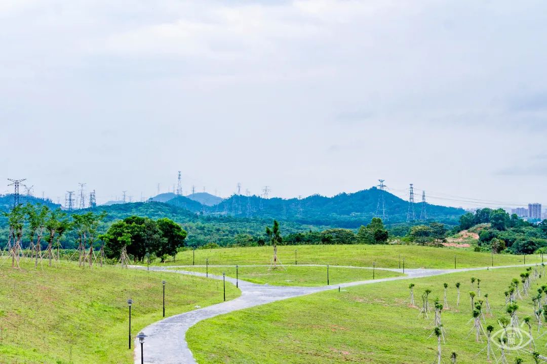 深圳10公里跑步路线,深圳跑步路线推荐塑胶跑道