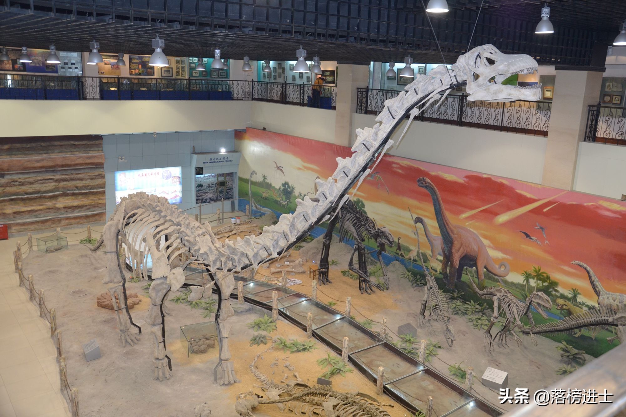 石家庄哪个博物馆里有恐龙化石,石家庄博物馆里有恐龙化石吗