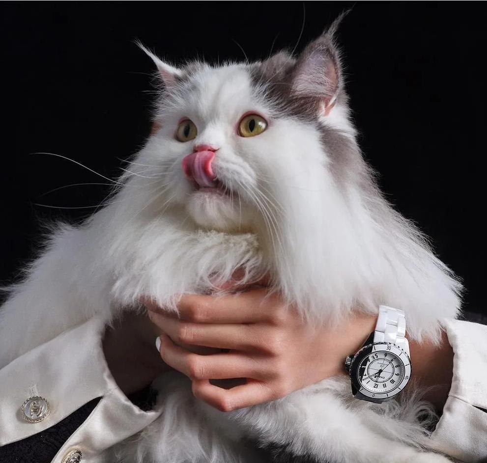 人生第一只奢侈品怎么买,腕表40岁男人必买十款表