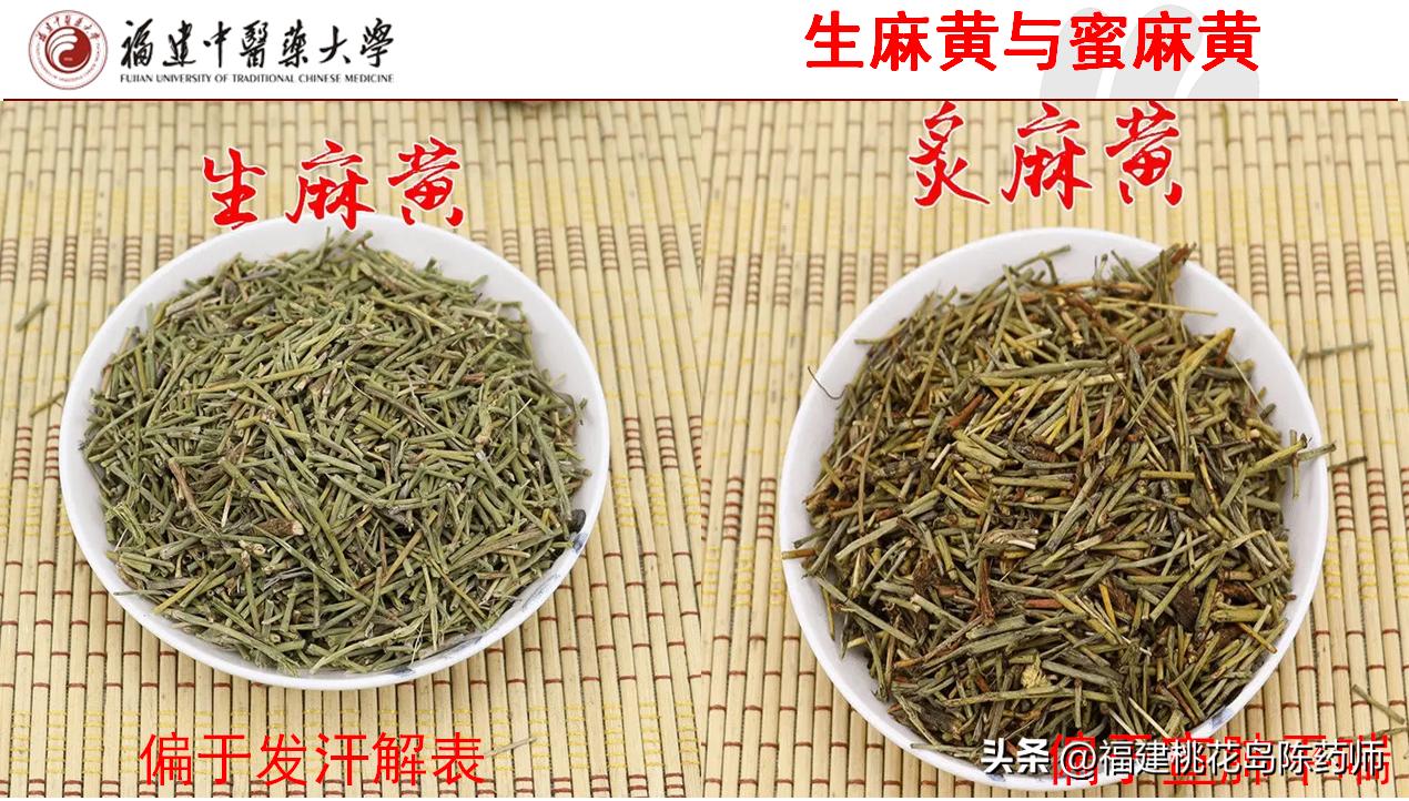 28味解表中药的性味与功效,麻黄性味辛温故能解表散寒