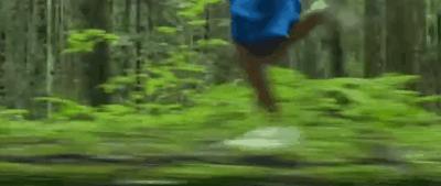 非去不可的理由有哪些,非去一个地方不可的理由