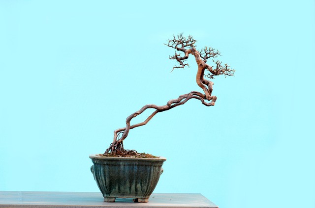 山货怎么赚钱,农村山货怎么赚钱