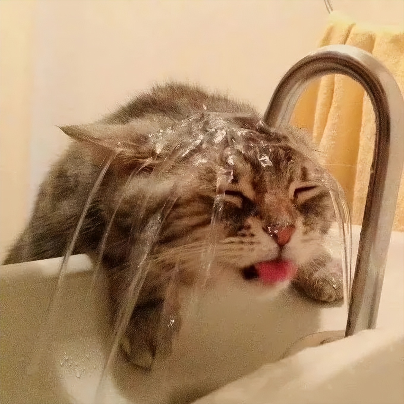 <html>
<head><title>502BadGateway</title></head>
<body>
<center><h1>502BadGateway</h1></center>
<hr><center>nginx</center>
</body>
</html>
<!--apaddingtodisableMSIEandChromefriendlyerrorpage-->
<!--apaddingtodisableMSIEandChromefriendlyerrorpage-->
<!--apaddingtodisableMSIEandChromefriendlyerrorpage-->
<!--apaddingtodisableMSIEandChromefriendlyerrorpage-->
<!--apaddingtodisableMSIEandChromefriendlyerrorpage-->
<!--apaddingtodisableMSIEandChromefriendlyerrorpage-->
