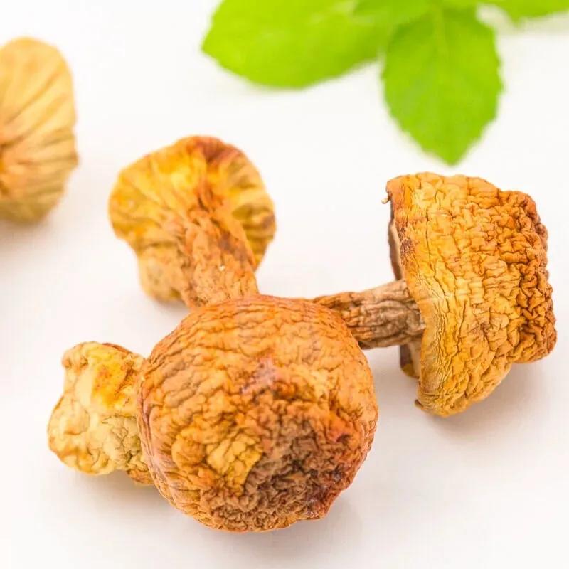 「武陵山珍」大山深处的自然美味—姬松茸