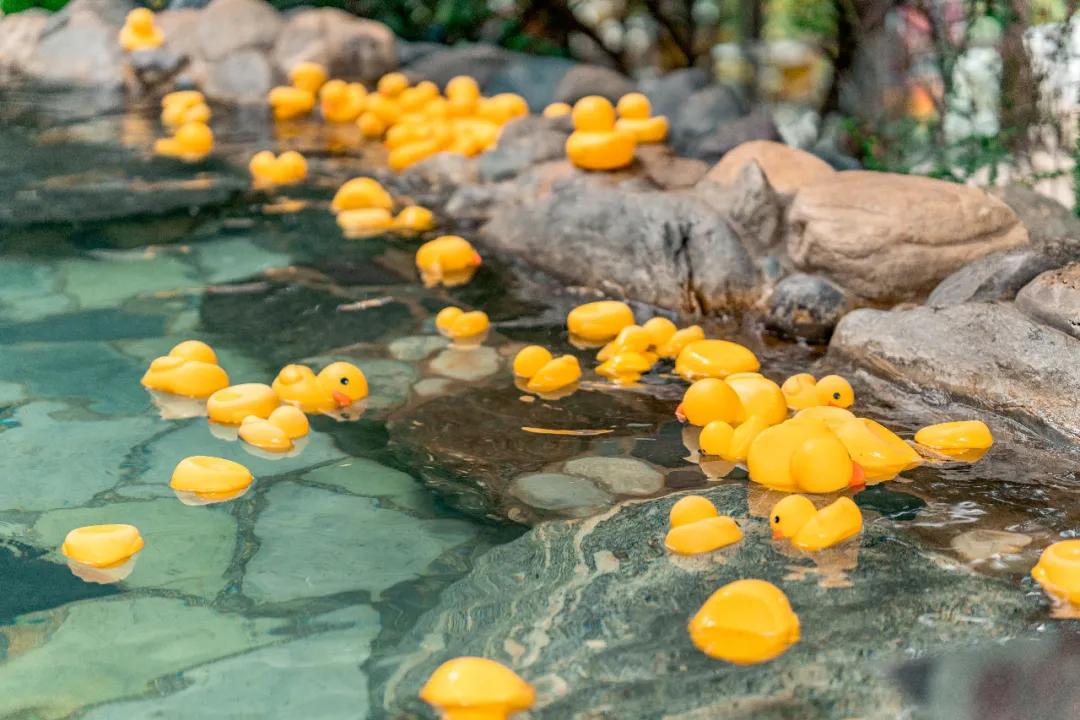 云南天下第一汤温泉,云南藏起来的人间仙境