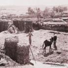 鏃ュ啗鍏借,鏃ユ湰渚靛崕鍏借鐓х墖