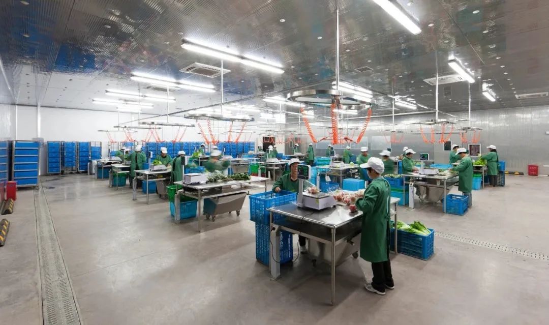 多利桃花源有机农庄,多利桃花源旅行