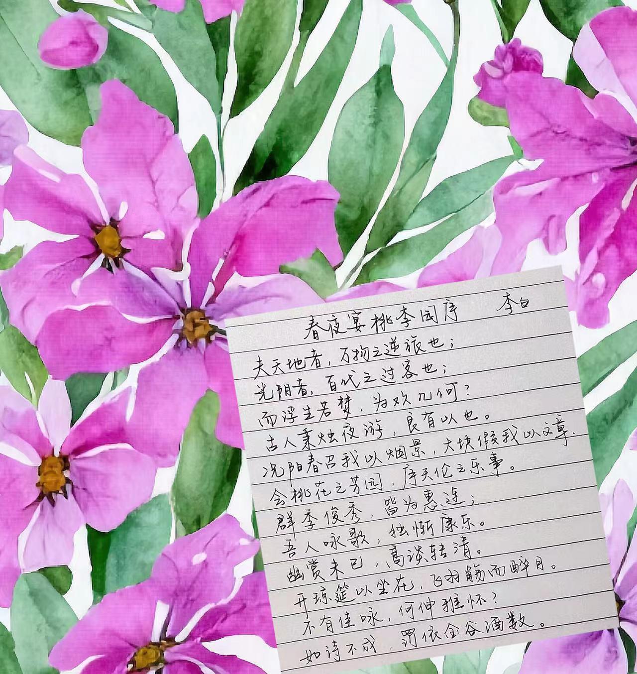 春夜宴桃李园序和记承天寺夜游,春夜宴诸从弟桃花园序