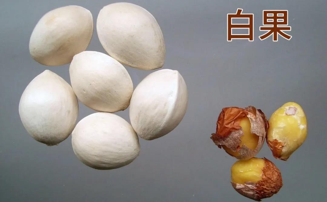 每天学习一味药,每天学习一味中药百合