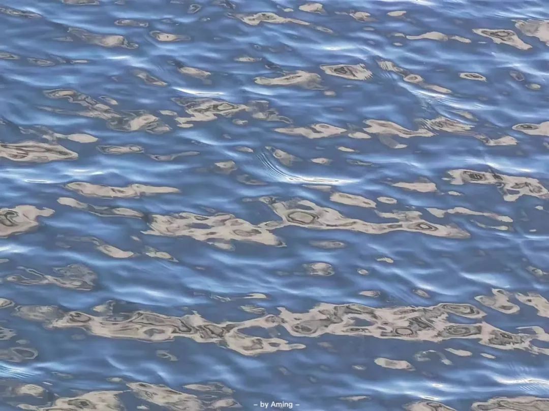 chiplet芯原股份,chiplet芯粒相关概念股