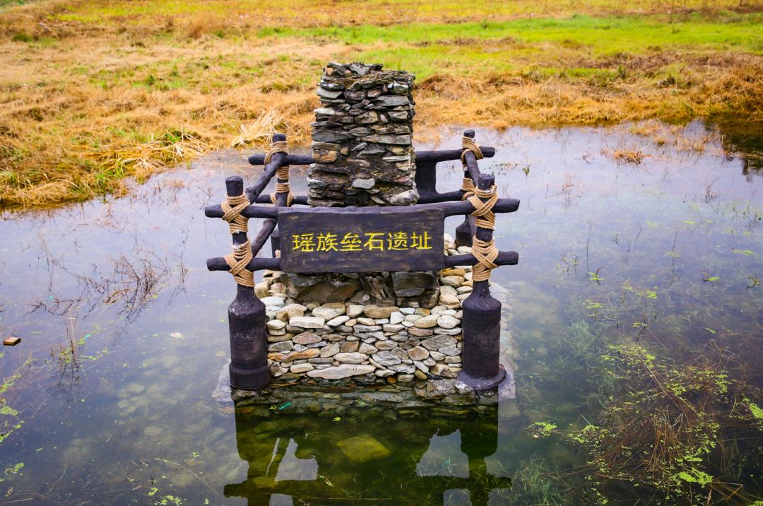 跟着chatgpt学习,跟着chatGPT学知识