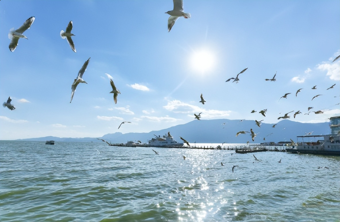 昆明旅行最值得打卡的十大景点,昆明周边湿地公园网红打卡地