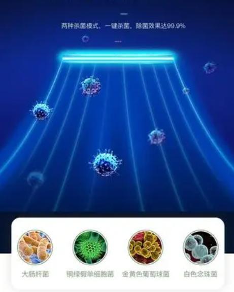 怎么除甲醛新房最快最有效,新房如何除甲醛最快最有效的方法