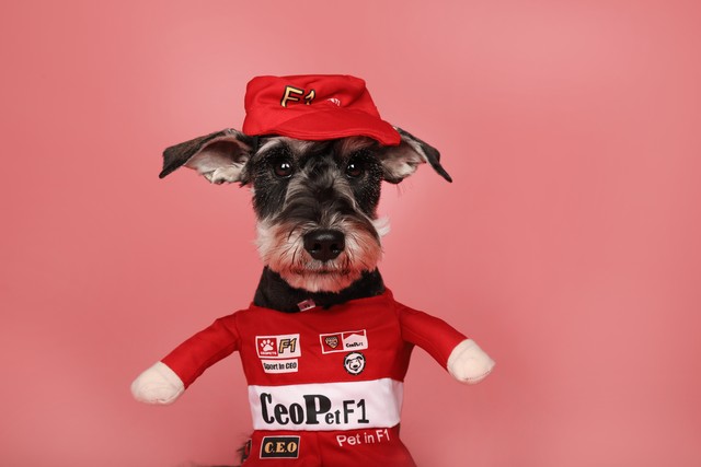 给大家推荐几款办公室游戏,有什么办公室可以玩的游戏