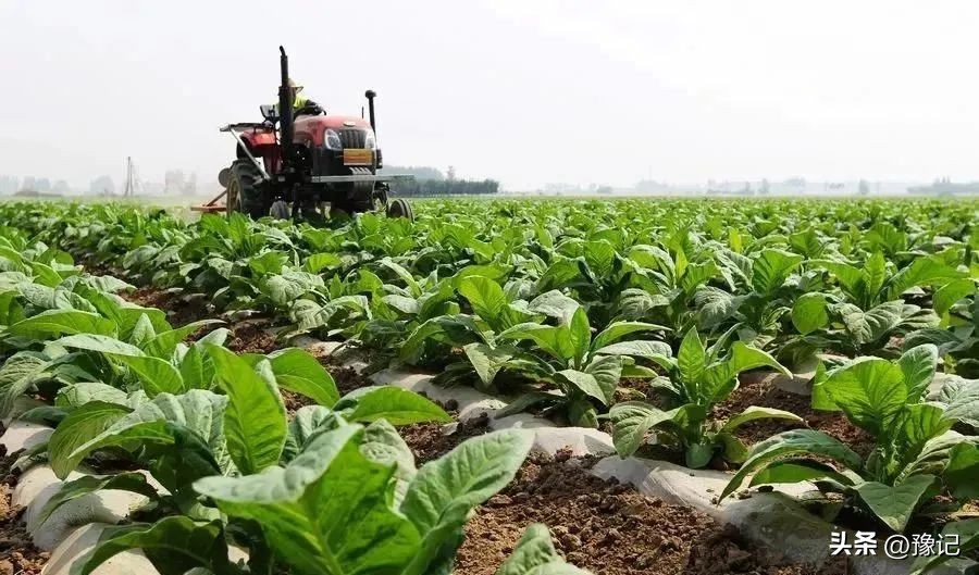 河南哪里地下宝藏最多,河南深山文物