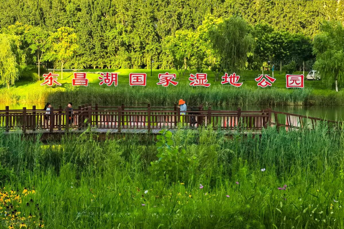 山东聊城重大工程项目,聊城2023工程项目