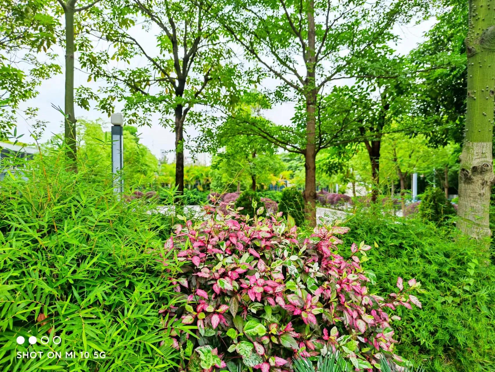 平淡之中见真情的下一句是什么,平淡见真情下一句