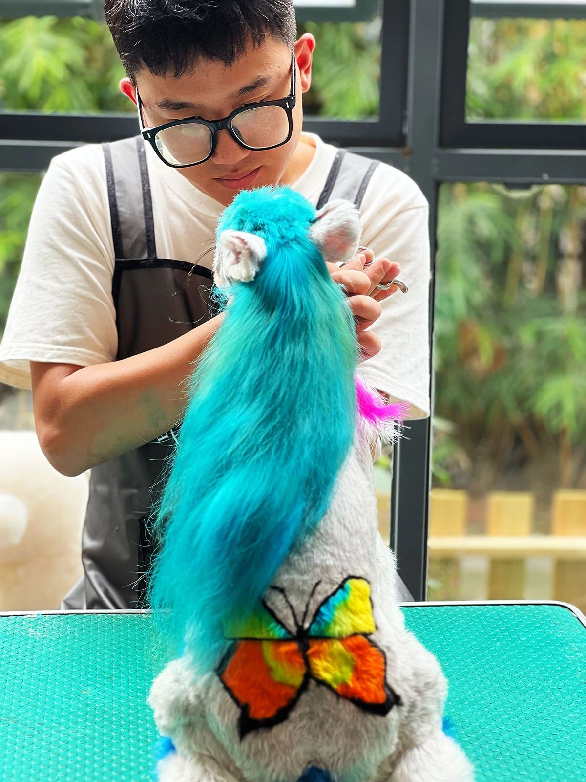 广州国际潮流宠物展,广州国际潮宠展