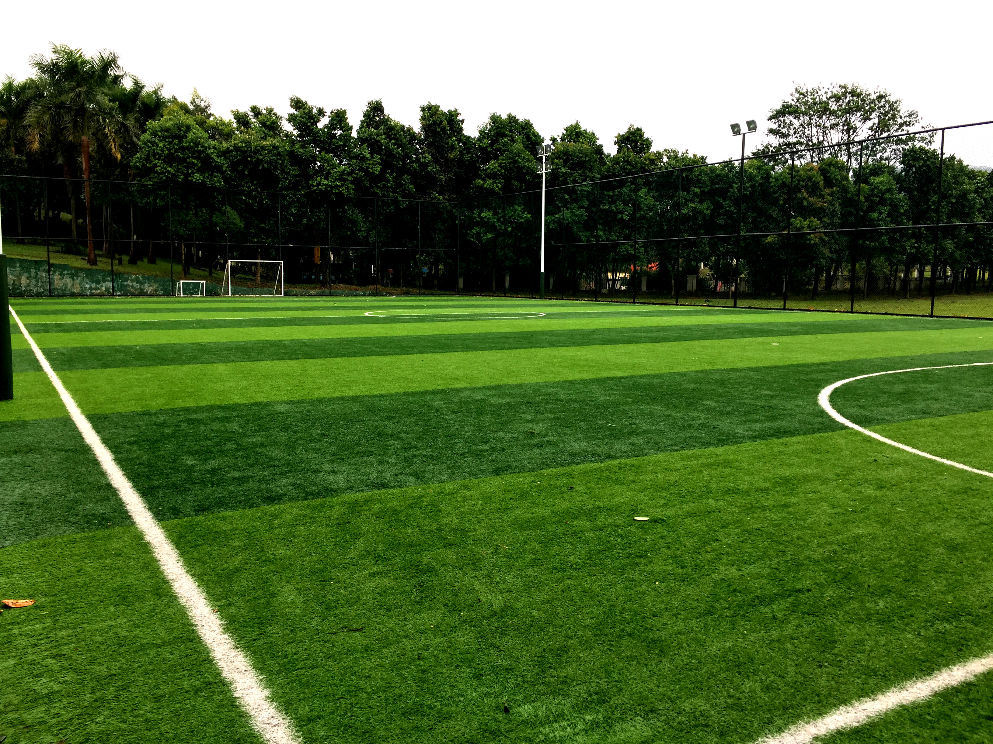 一个标准真草足球场需要多少钱,假草足球场多少钱一平