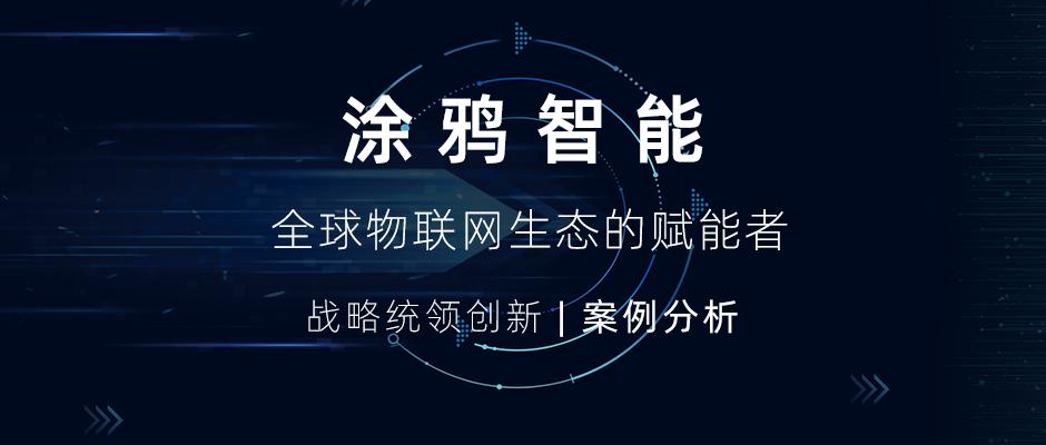 涂鸦科技和涂鸦智能,涂鸦智能物联网
