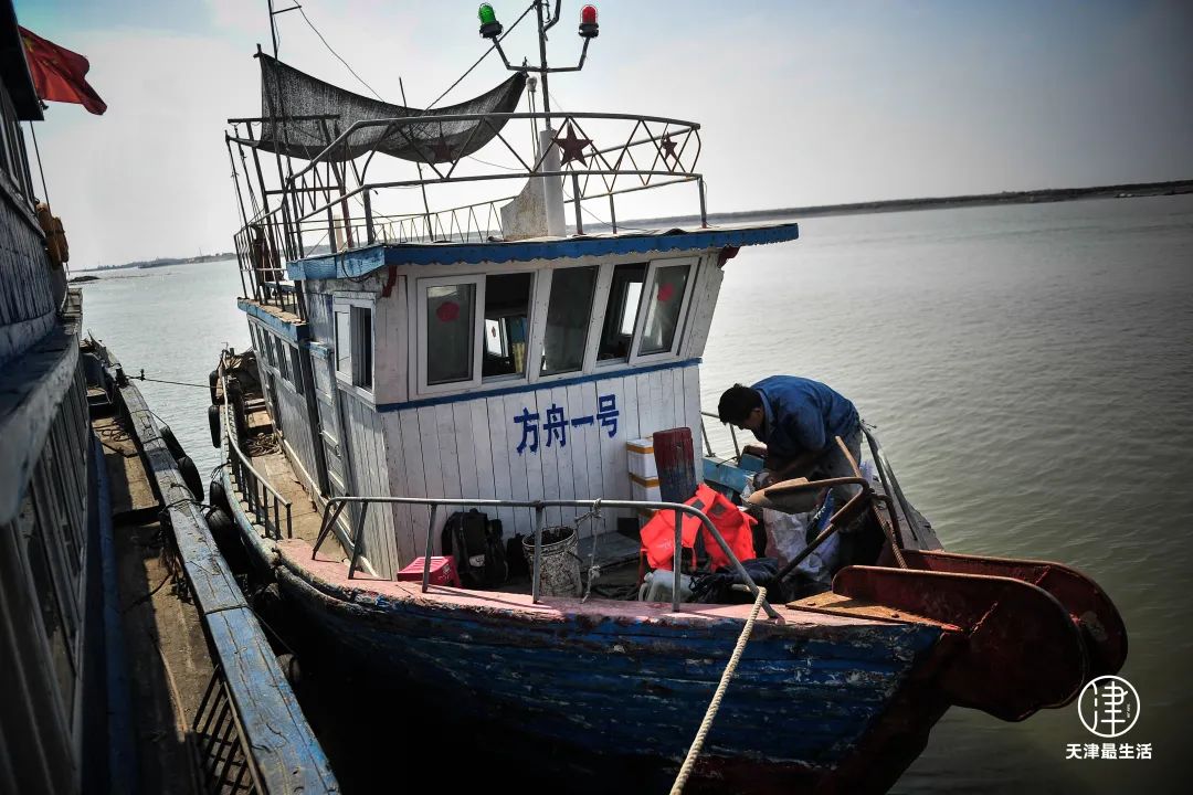 阳+34例！重磅好消息：开海，大波生猛海鲜来袭！天津人有多会吃
