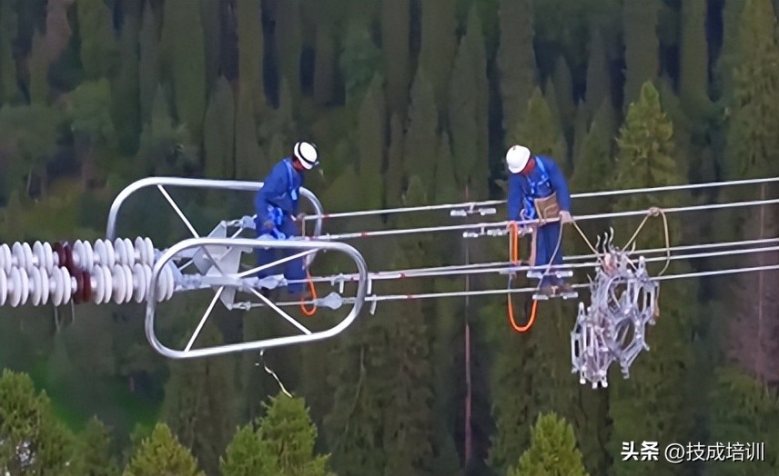 为啥小鸟站电线上为啥不会被电？但人一碰就会被电抽搐？