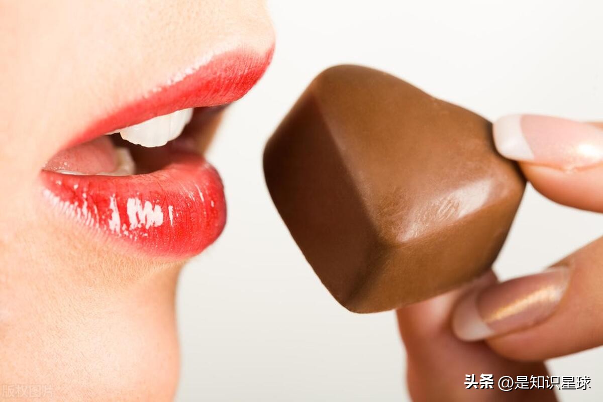 熊猫指头的特点,熊猫手指有几个指头