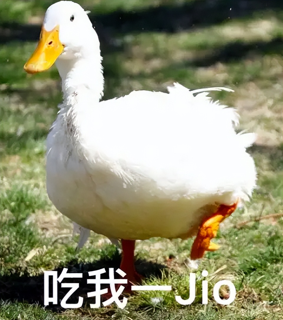 中国大学校徽宇宙的尽头，是消消乐吧？