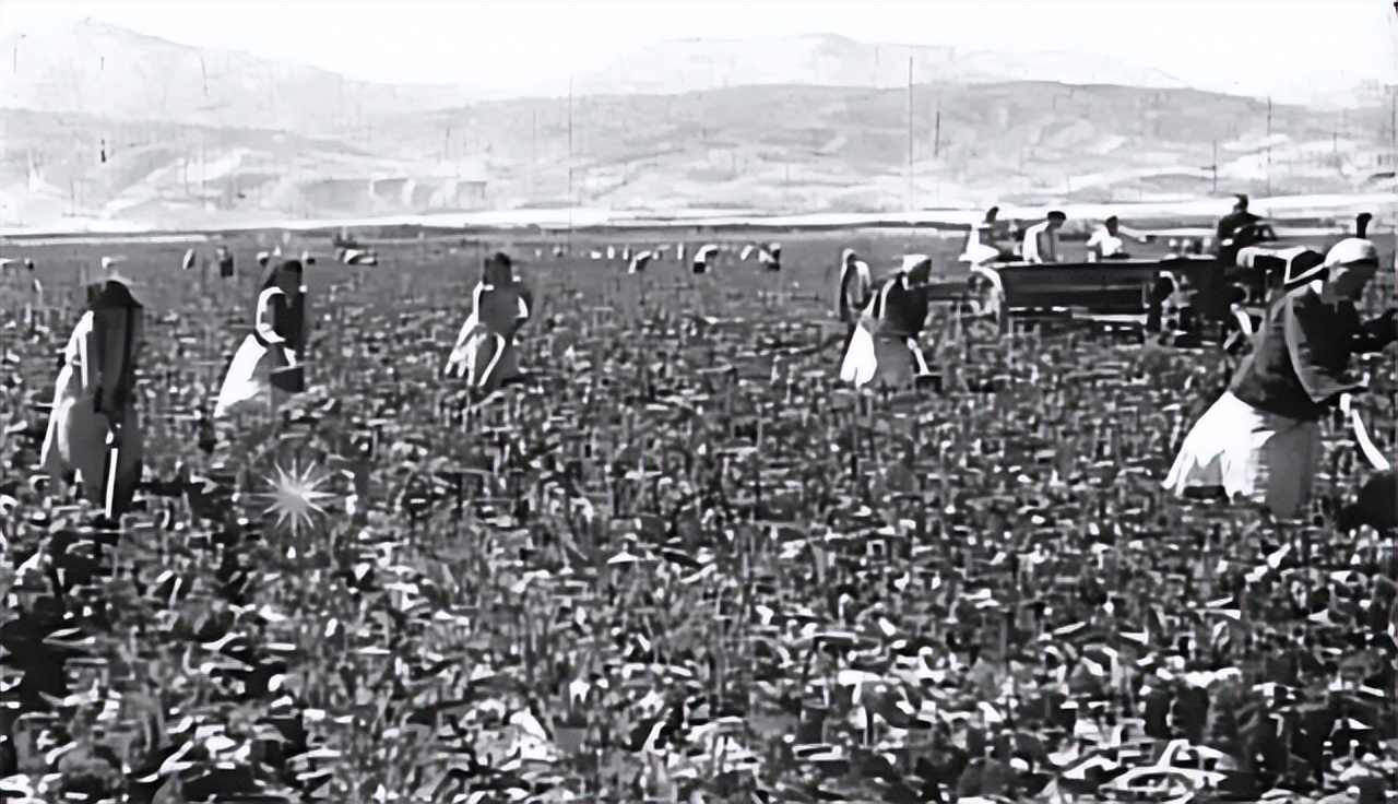 苏联74年，有个问题困扰每一代领导人，却被基辛格看透