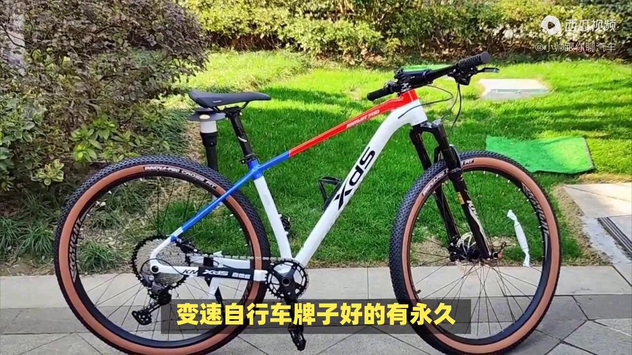 2023自行车推荐性价比高,性价比最高的变速自行车推荐