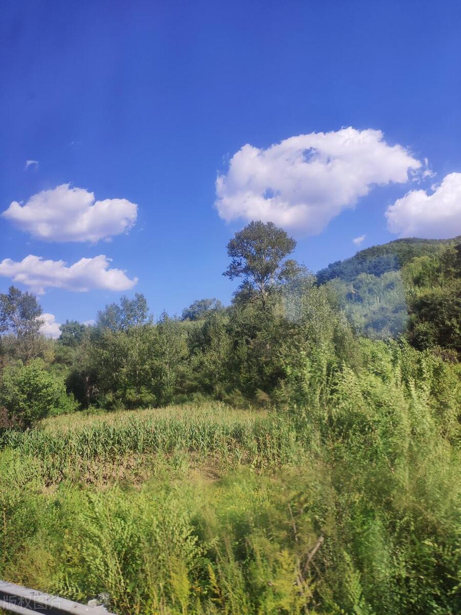 河北民族师范学院大数据专业,河北科技师范学院2020专业排名