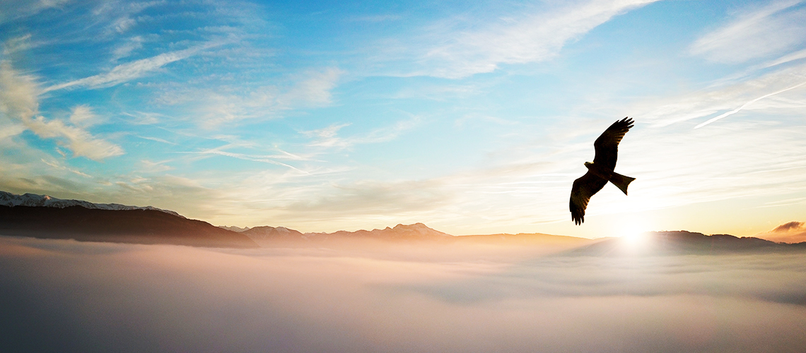 太平洋企业愿景,什么是企业愿景