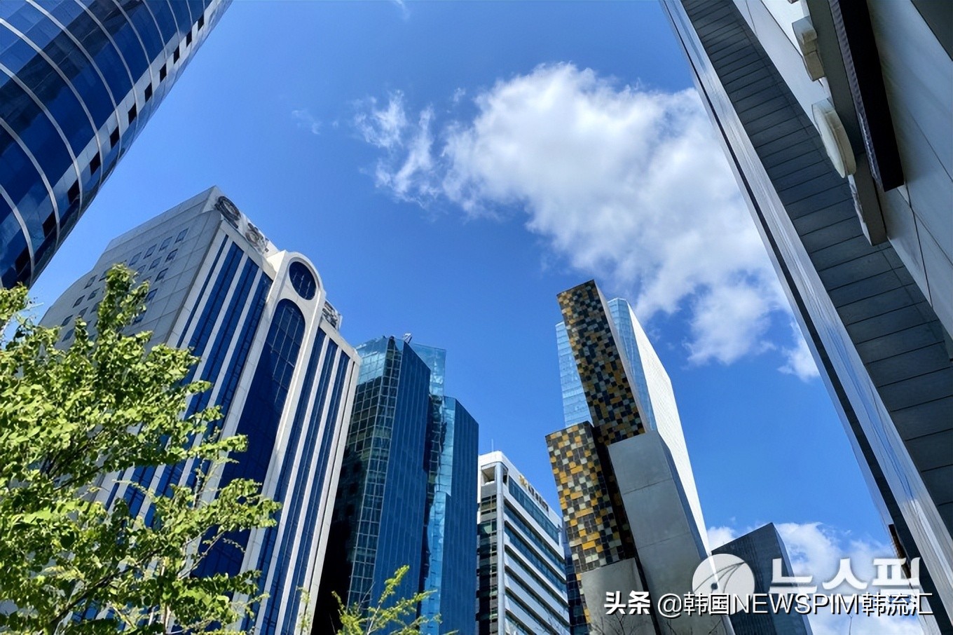 韩国创业项目排行榜前十名,韩国企业最多城市前十