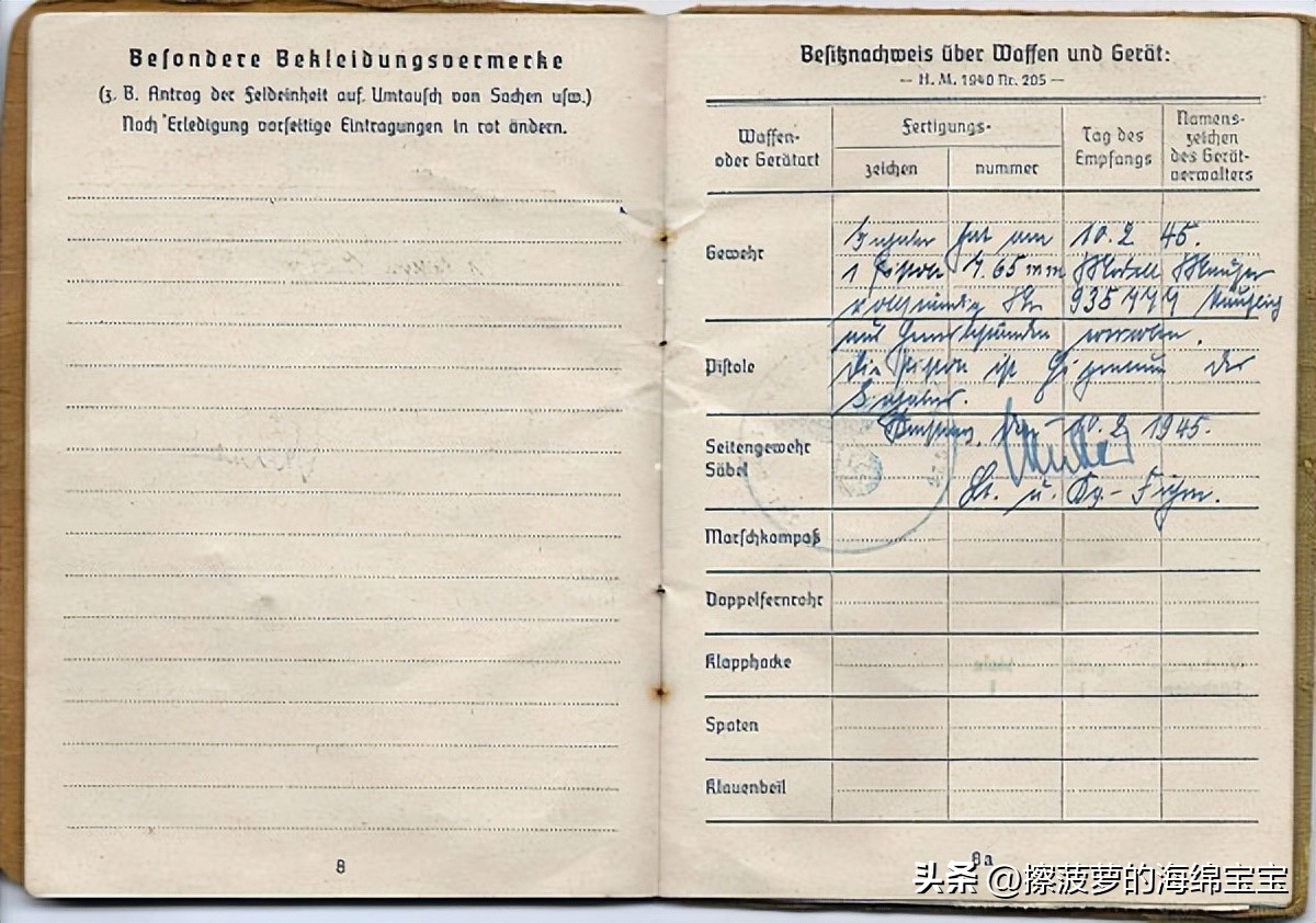 二战时德国军人的肩章,二战德国兵种领章