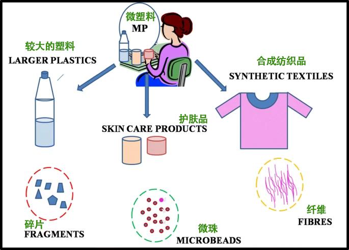 光谱探测细胞,科学家在人体中发现微塑料