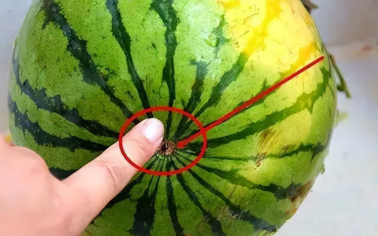 三伏天吃瓜群众,三伏天如何做一个合格的吃瓜群众